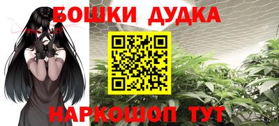 бошки Сланцы