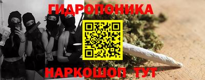 бошки Сланцы
