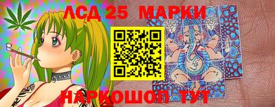 гидра Славгород