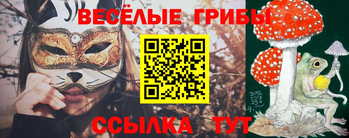 Галлюциногенные грибы мицелий  Вход с VPN  Отрадное 
