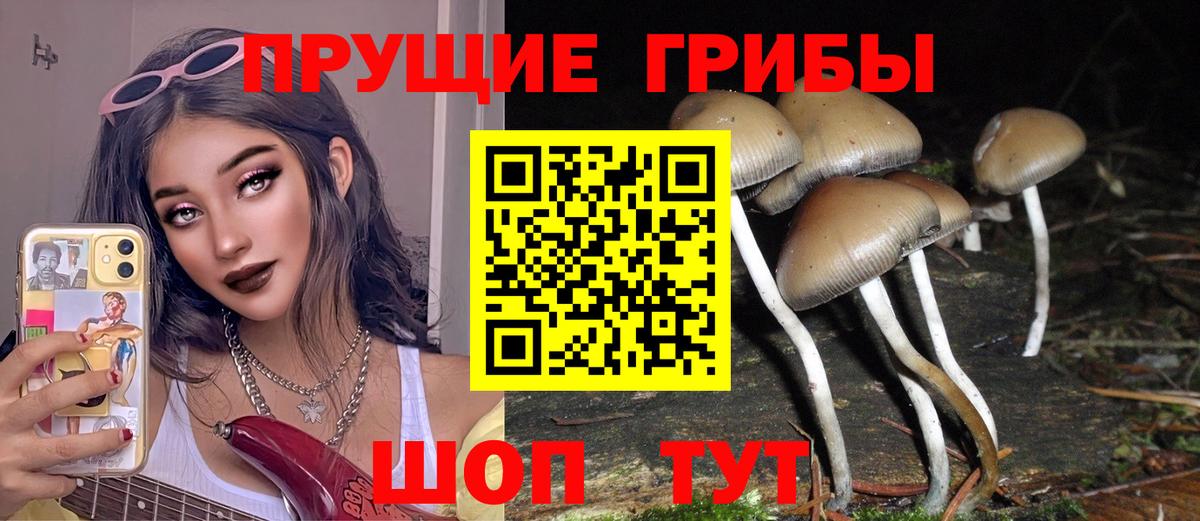 Галлюциногенные грибы Magic Shrooms Отрадное