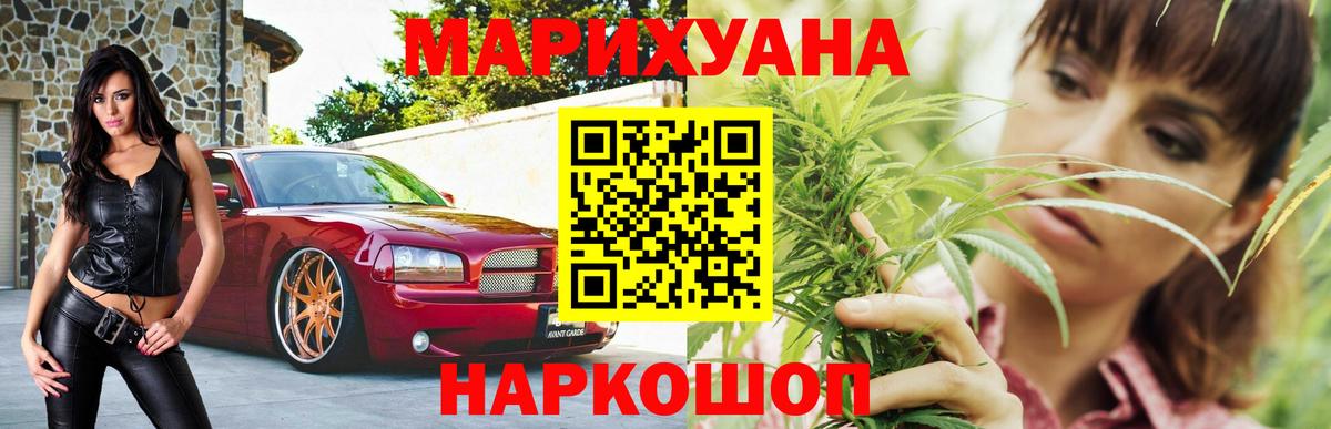 Бошки Шишки планчик Отрадное